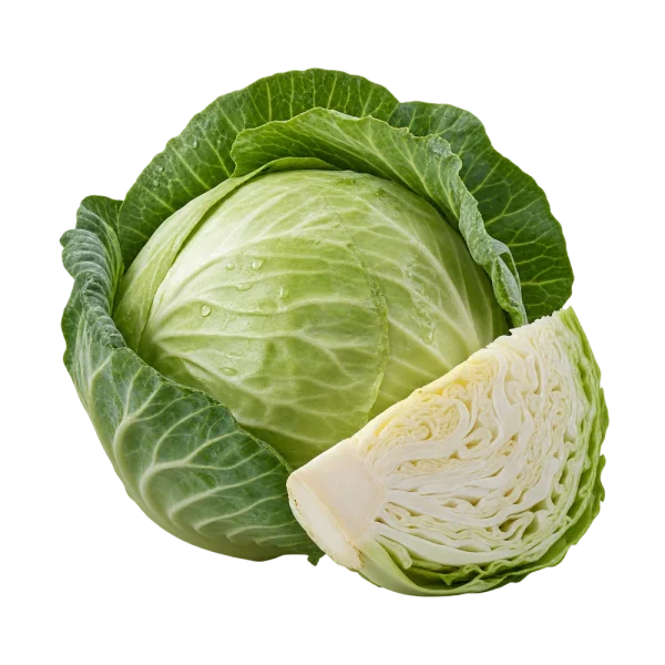 Капуста белокочанная