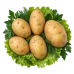 Картофель Бриз Картофель Бриз
